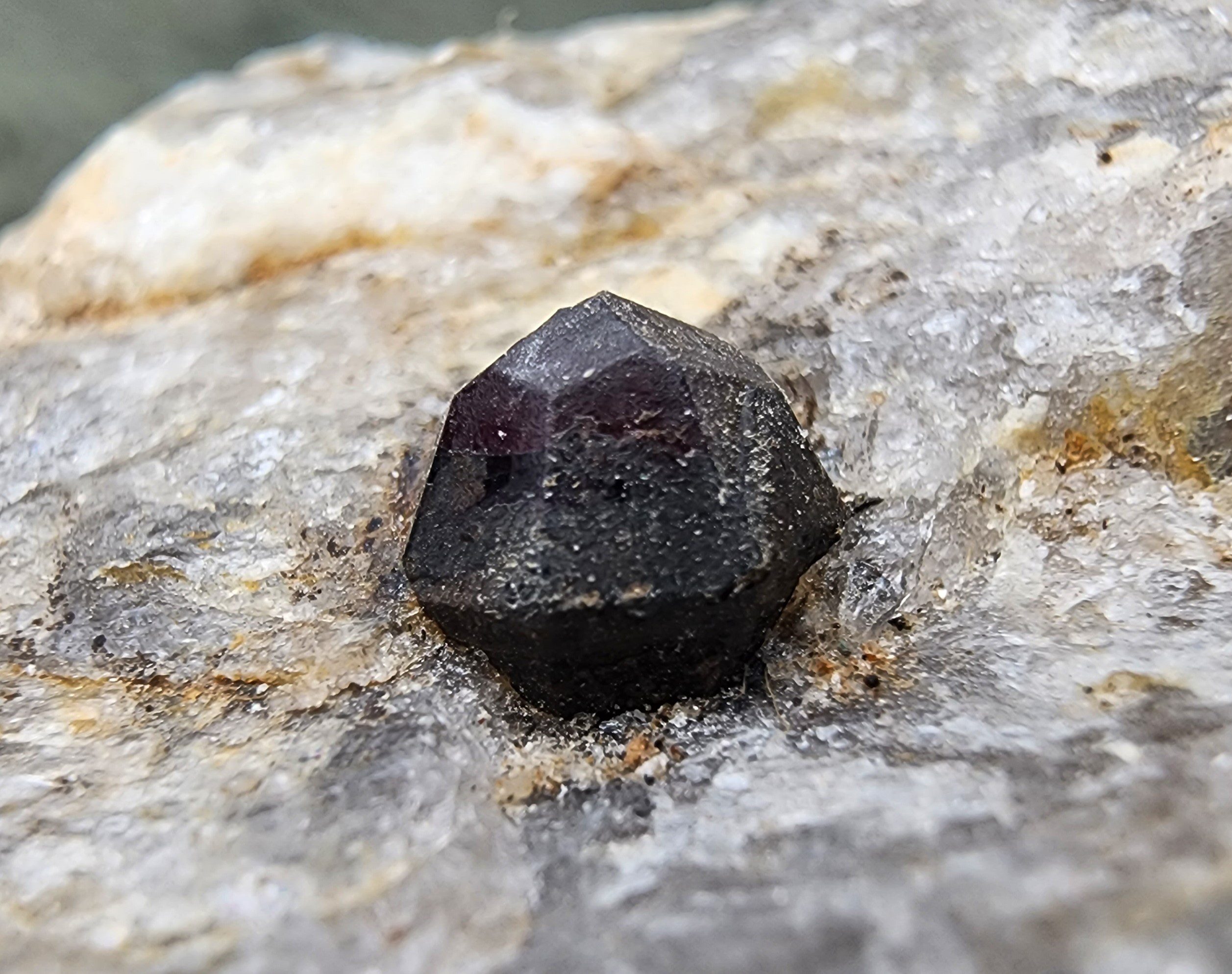 Almandine Garnet Crystal in Matrix from Connecticut