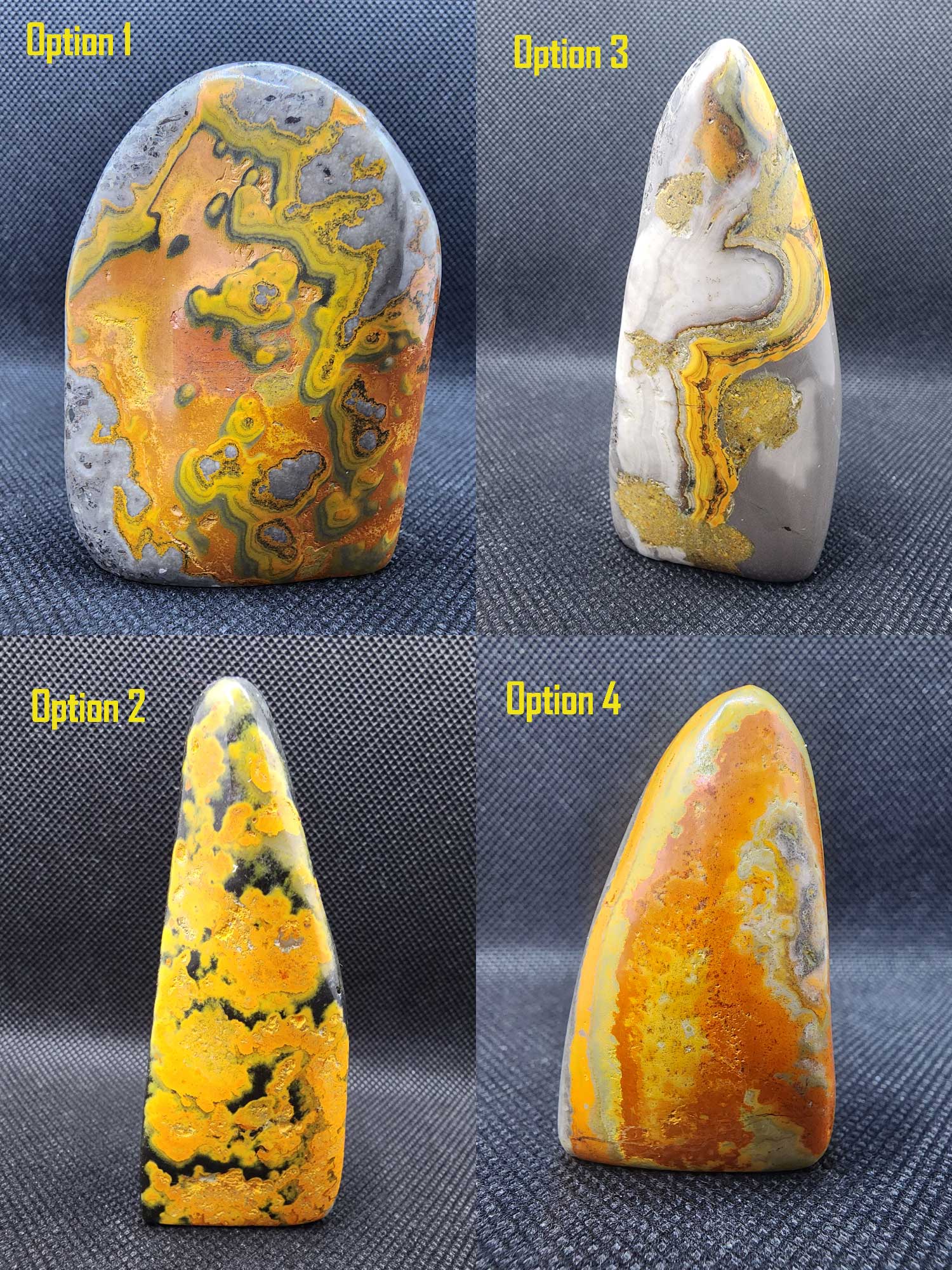 Bumblebee Jasper Freeform from Java, Indonesia