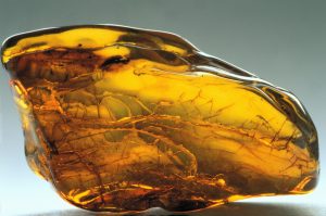 Amber Gemstones