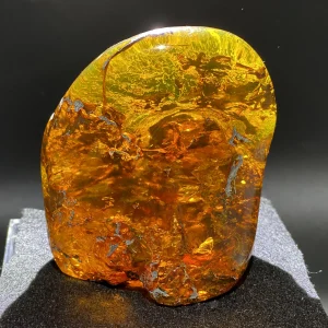 Dominican amber