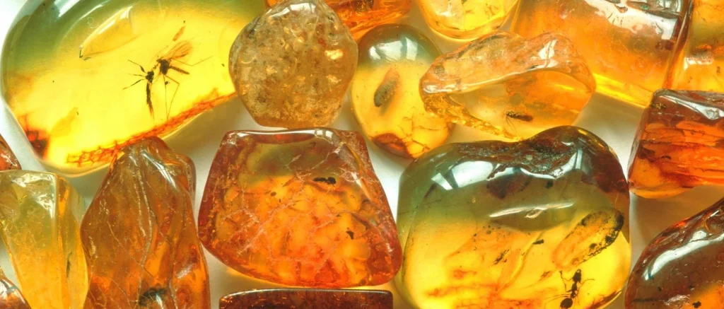 Healing and Metaphysical Properties of Amber