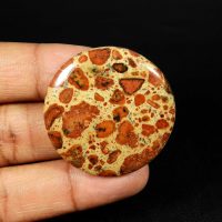 Natural Brown Asteroid Jasper Gemstone Round Shape Loose Cabochon 59 Cts