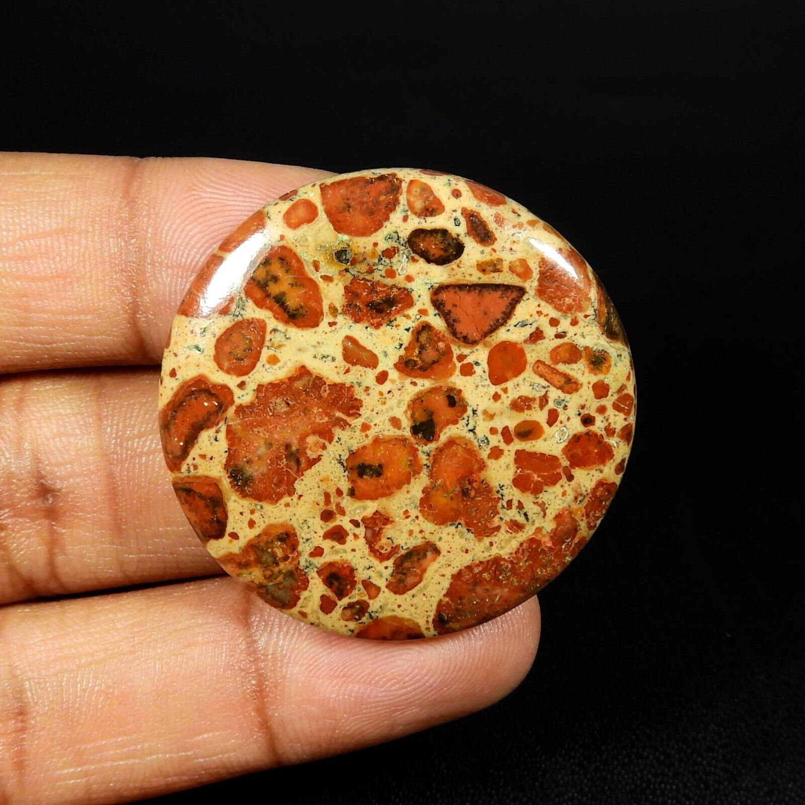 Natural Brown Asteroid Jasper Gemstone Round Shape Loose Cabochon 59 Cts