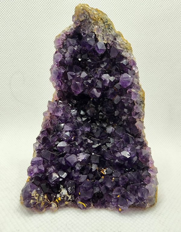 1e1dd956 aa9a 5d72 9c20 23c390348698 scaled