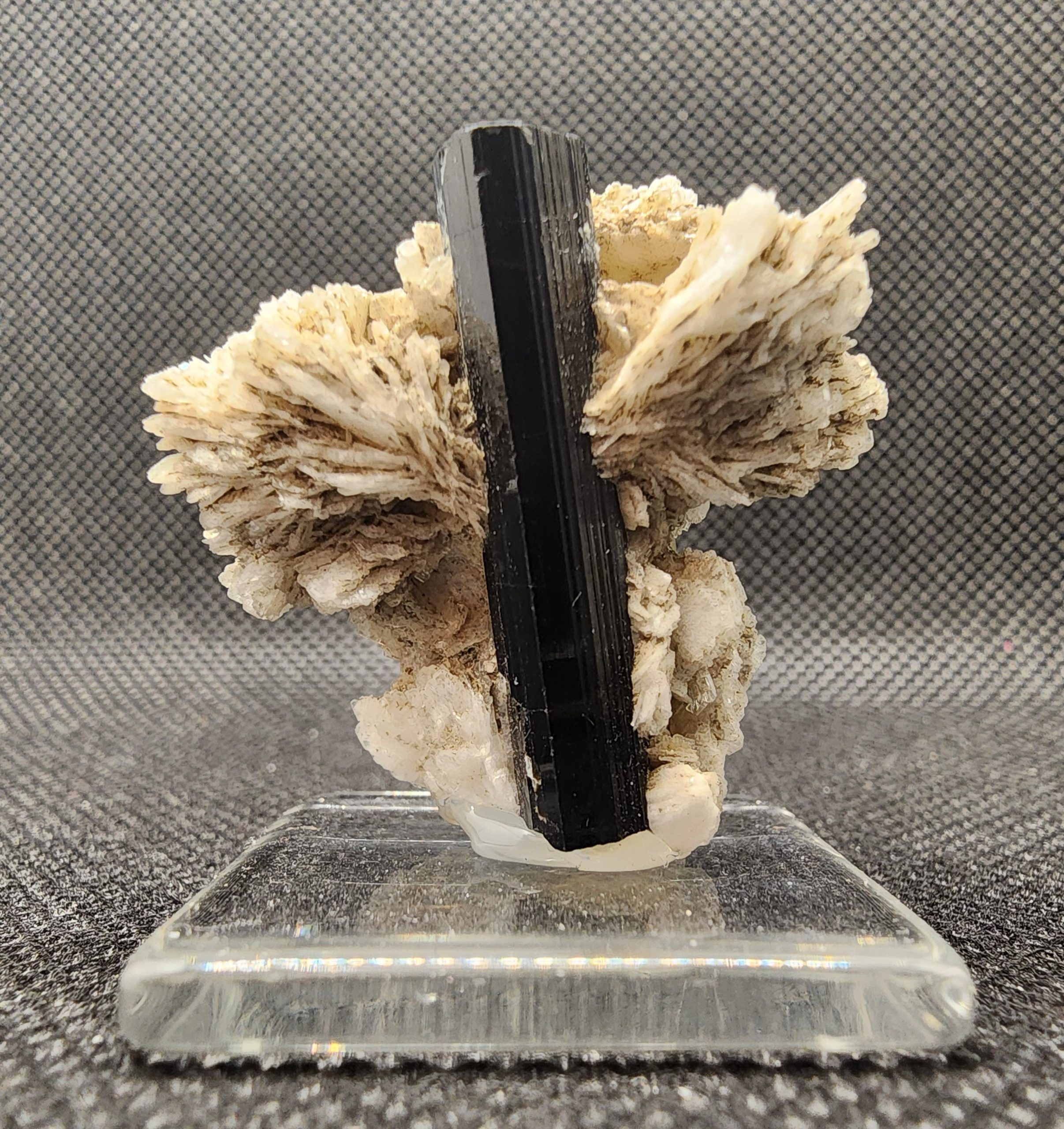 Terminated Schorl Tourmaline on Barite from Skardu Mine, Gilgit-Baltistan, Pakistan
