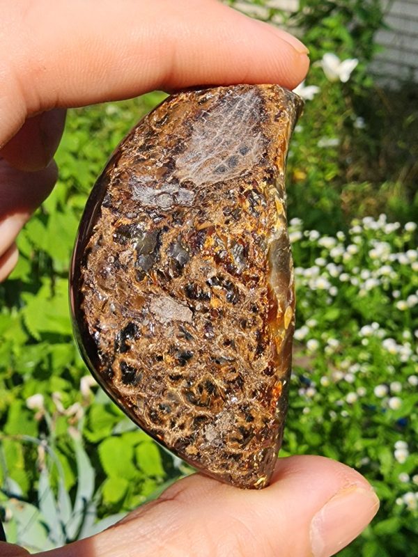 Blue Amber from Indonesia