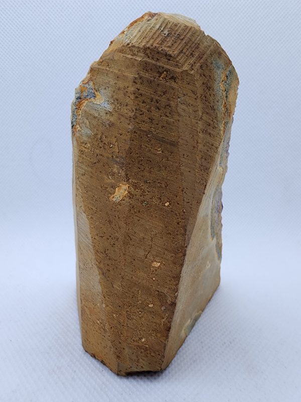 d282920d 6aaa 55fe a4c5 2ce32e32d4fd scaled