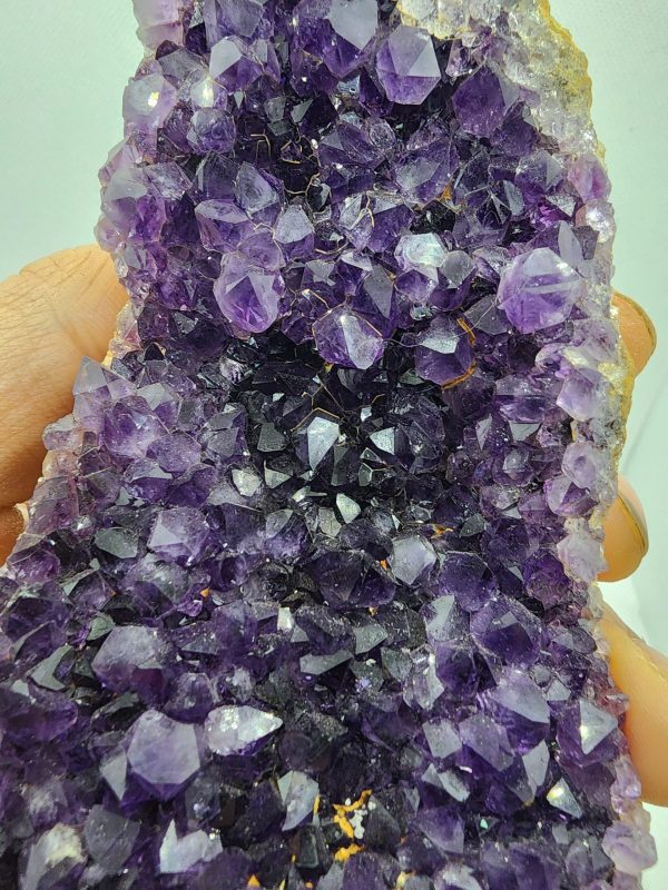 d59faa9f 409a 56da bc14 b469b87ae812 scaled