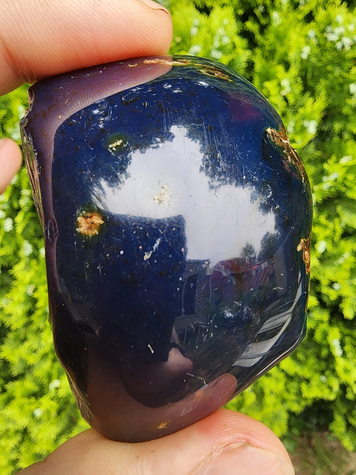 109 Cts Natural Indonesian 2024 Blue Amber Polished Specimens