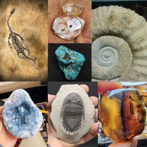Sacred Earth Minerals Crystals Fossils