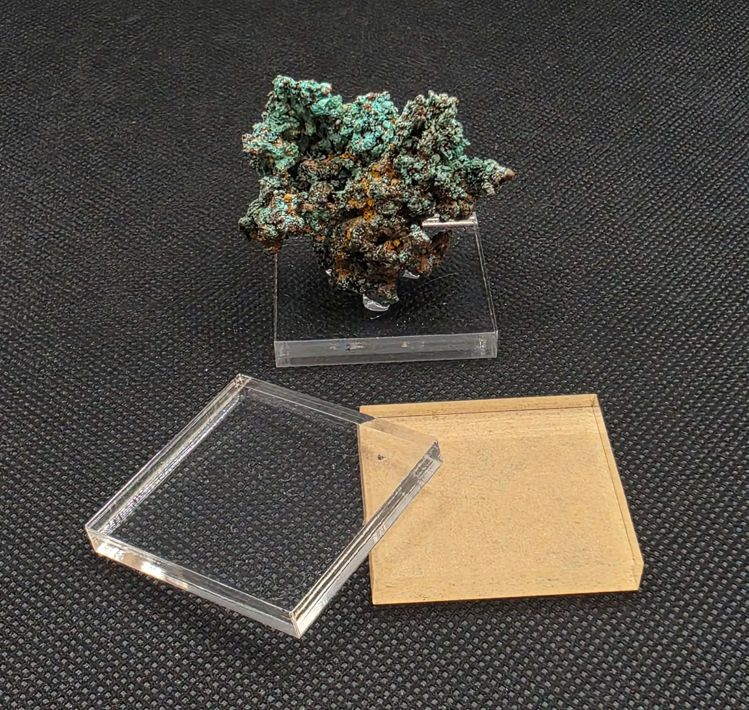 Specimen Display Bases