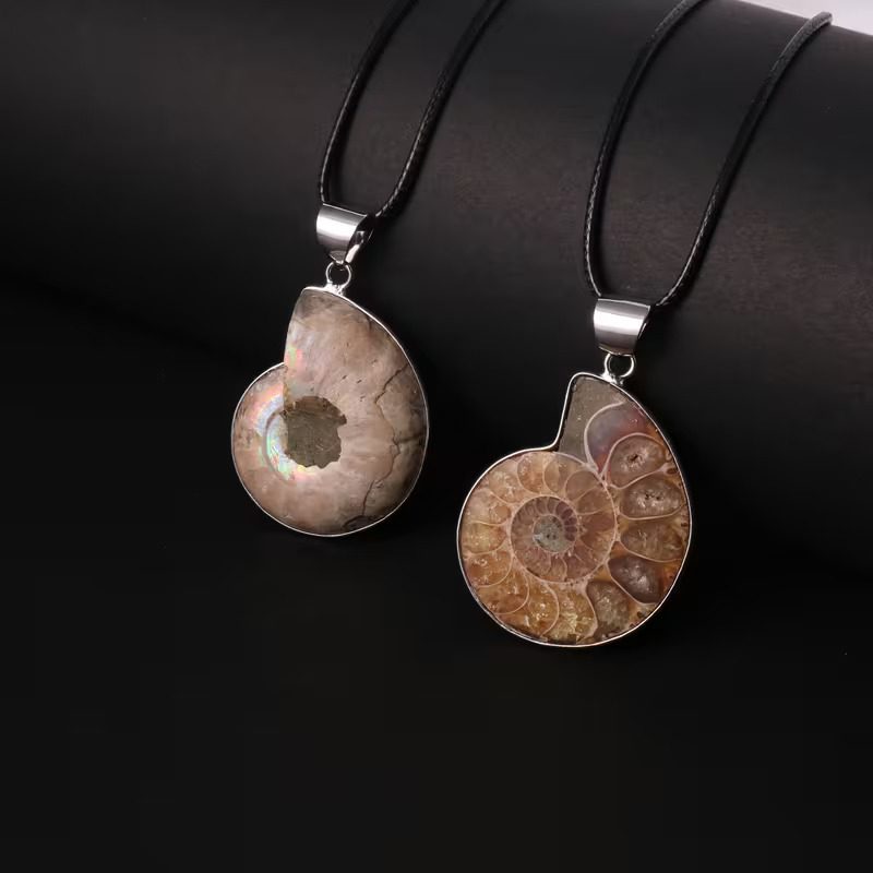 Fossil Ammonite Pendant