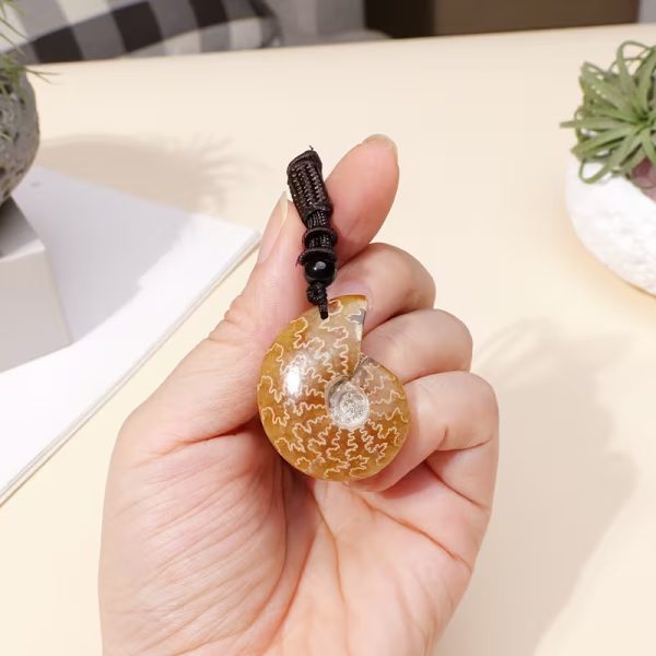 a4276047 a745 5242 8bc1 066d0bfa5876