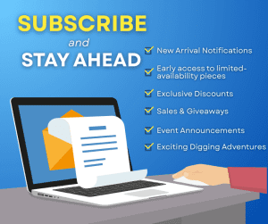 newsletter mailing list subscribe and stay ahead
