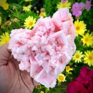 pink halite guide for collectors