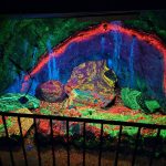 Sterling Hill Mining Museum: A Legendary Zinc Mine and World Capital of Fluorescent Minerals