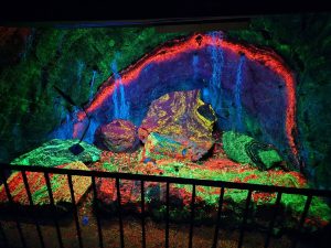 sterling hill mining museum rainbow room