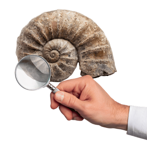 Mineral Collector Guides