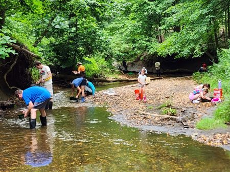 Sacred Earth Adventures Shark Teeth
